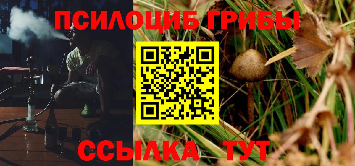 Галлюциногенные грибы Psilocybine cubensis Усинск