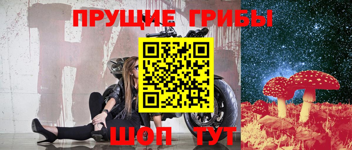Галлюциногенные грибы Psilocybine cubensis  Вход с VPN  Усинск 